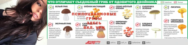 дмт Белокуриха
