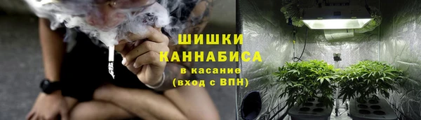 дмт Белокуриха