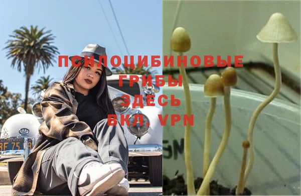 дурь Беломорск