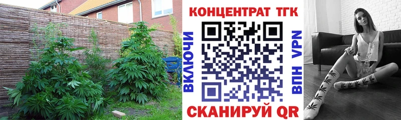 Дистиллят ТГК вейп с тгк  купить   Михайлов 